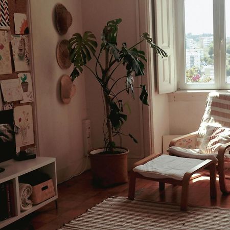 Coimbra Erasmus House - Guest House المظهر الخارجي الصورة