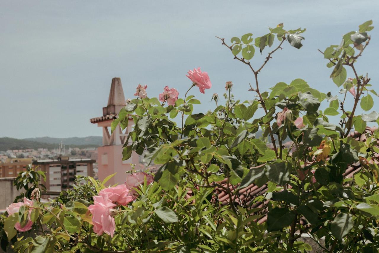 Coimbra Erasmus House - Guest House المظهر الخارجي الصورة