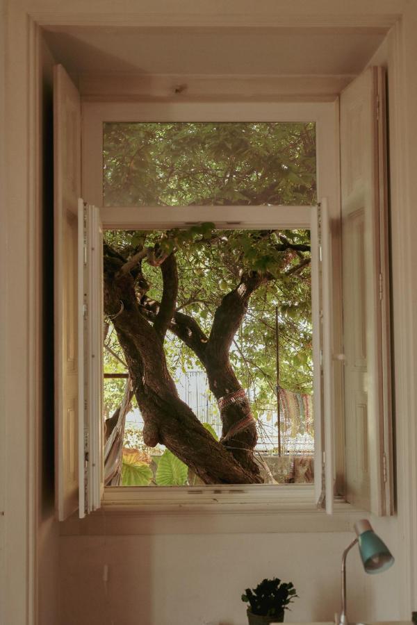 Coimbra Erasmus House - Guest House المظهر الخارجي الصورة